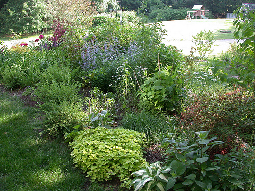 Spiritual Gardening – Reclaiming Losses